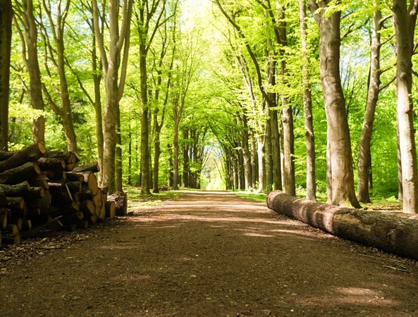 Medium property photo - Rijksstraatweg Bouwnummer 19, 3921 AD Elst Ut