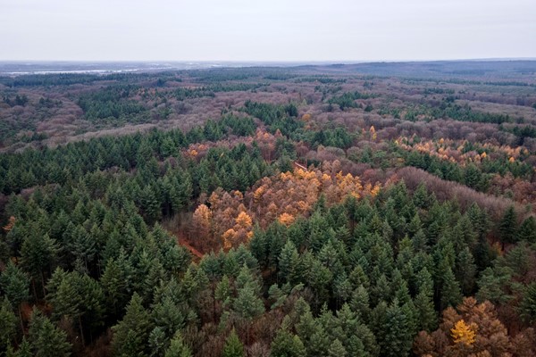 Medium property photo - Engelse Werklaan 5, 3903 DB Veenendaal