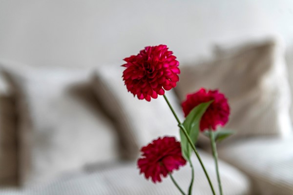 Medium property photo - Hisveltplein 92, 6826 LJ Arnhem