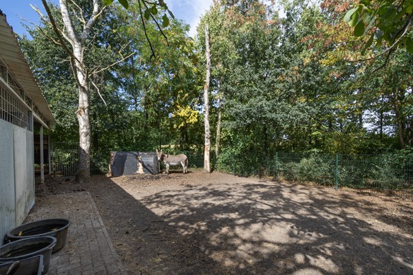 Medium property photo - Grensweg 9, 6039 RS Stramproy