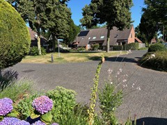 uitzicht plantsoen voorzijde.jpg