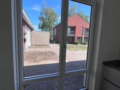 IMG_0802.jpeg
