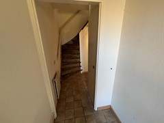 IMG_9101.jpeg