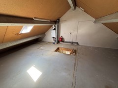IMG_9122.jpeg
