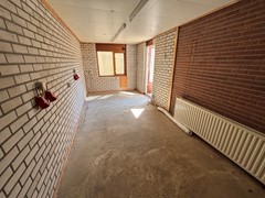 IMG_9126.jpeg