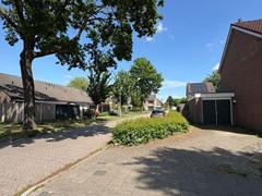 65997_2850271.jpg