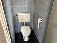 IMG_9260.jpeg