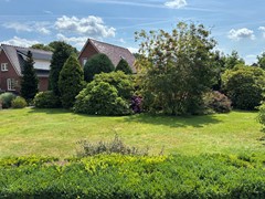 IMG_9222.jpeg