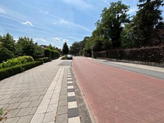 IMG_9224.jpeg