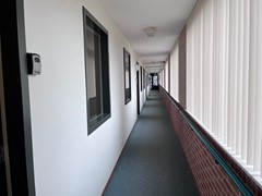 IMG_1866.jpeg
