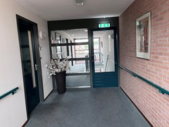 IMG_1903.jpeg