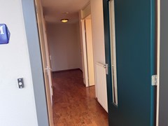IMG_1865.jpeg