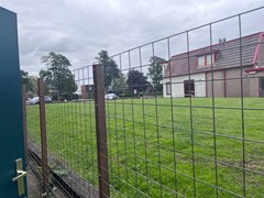IMG_1923.jpeg