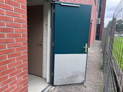 IMG_1919.jpeg