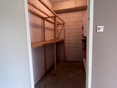 IMG_1973.jpeg