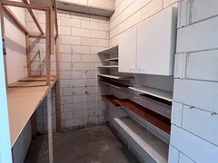 IMG_1972.jpeg