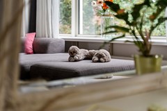 New for sale: Dahlialaan 20, 2343 XH Oegstgeest