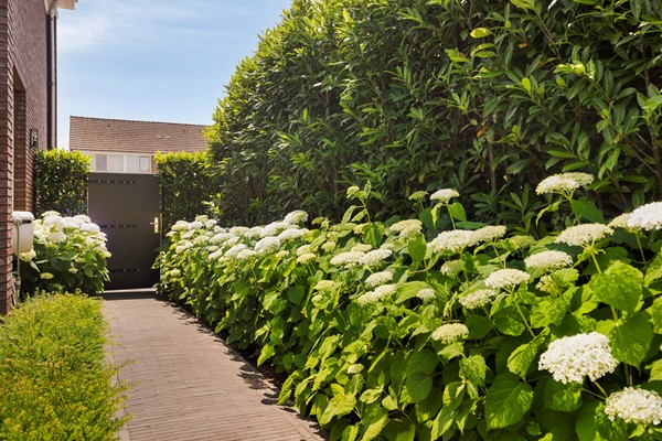 Medium property photo - Aalstraat 8, 5126 CP Gilze