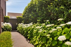 Aalstraat8a5126cpGilze-50.jpg