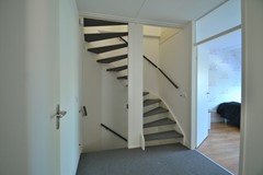 CSC_0301.JPG