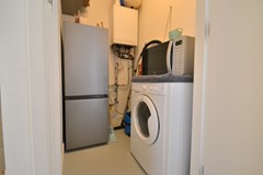 CSC_0972.JPG