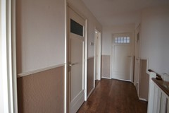 DSC_0163.JPG