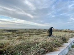 IMG_E4200.JPG