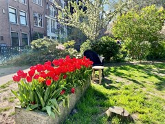 Planciusstraat, 1013 MD Amsterdam 