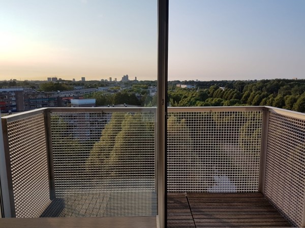 Medium property photo - Anna Blamansingel, 1102 SW Amsterdam