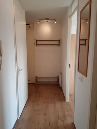 Medium property photo - Anna Blamansingel, 1102 SW Amsterdam