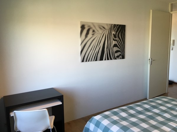Medium property photo - Anna Blamansingel, 1102 SW Amsterdam