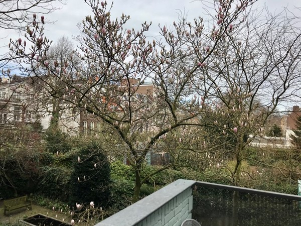 Medium property photo - Herenstraat, 1015 CA Amsterdam
