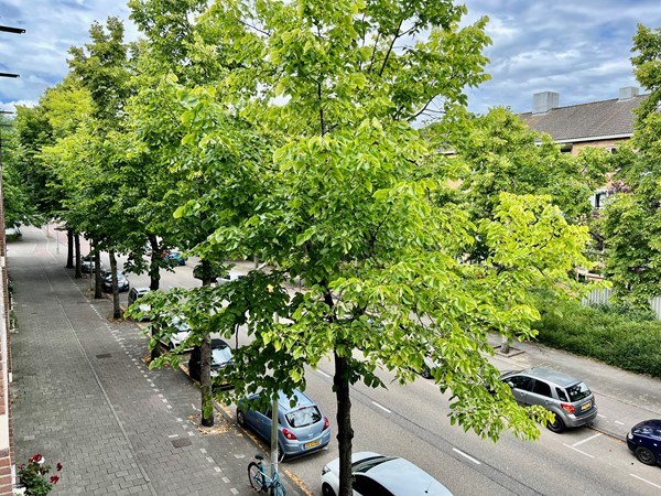 Foto - Te huur: Werengouw 397, 1024 NZ Amsterdam