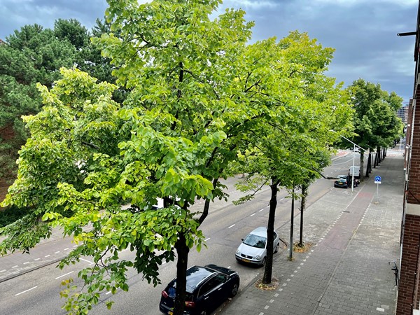 Foto - Te huur: Werengouw 397, 1024 NZ Amsterdam