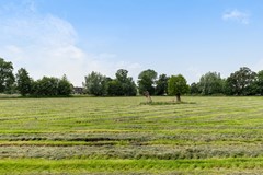 Bruinehorst 41, Ederveen-39.jpg