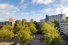 Zuiderkruis 116_20.jpg