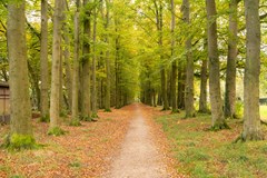 Julianastraat 22, Harskamp-52.jpg