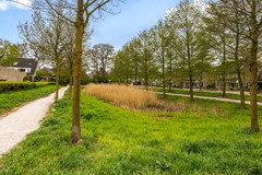 Pienemanstraat 35_44.jpg