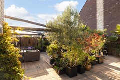 Kwikstaartweide 2_41.jpg