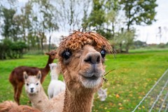 Lange Heideweg 19, Otterlo-78.jpg