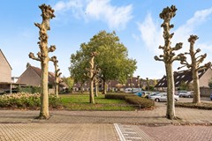 Wilgenlaan 52, Renswoude-1.jpg