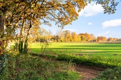 Paardenwei 23_30.jpg