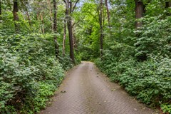 Engweg 59, Lunteren-49.jpg