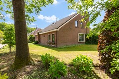 Overbosch 8_03.jpg
