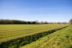 Langhuis 8, Voorthuizen-43.jpg