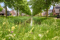 Steekijzer 1, Ederveen-4.jpg