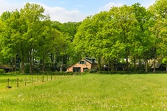 Engweg 46_70.jpg