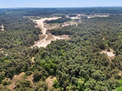 DJI_20260526141329_0177_D.jpg