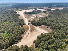 DJI_20260526141353_0182_D.jpg