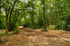 Boomakkerweg 10, Lunteren-68.jpg